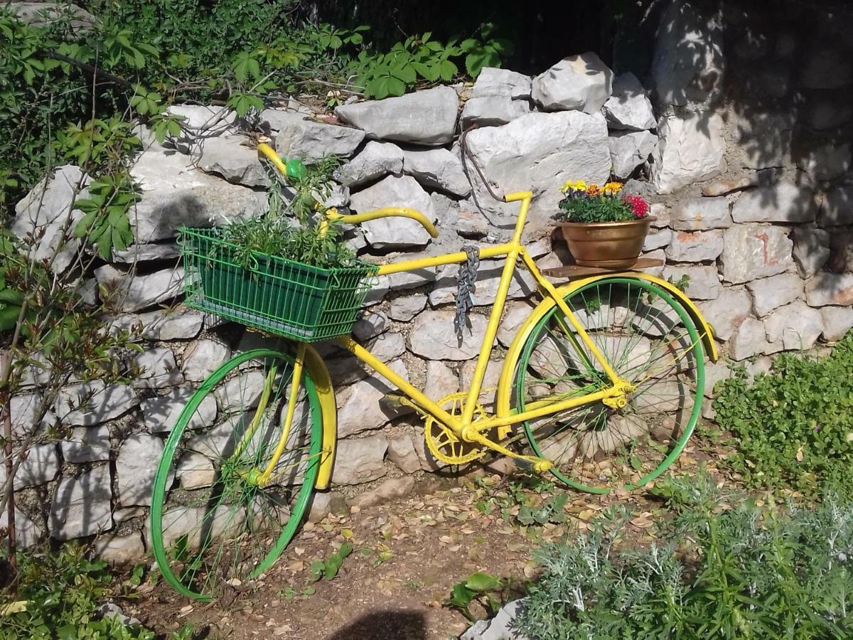 Apartment Rojal Mali Lošinj Eksteriør bilde