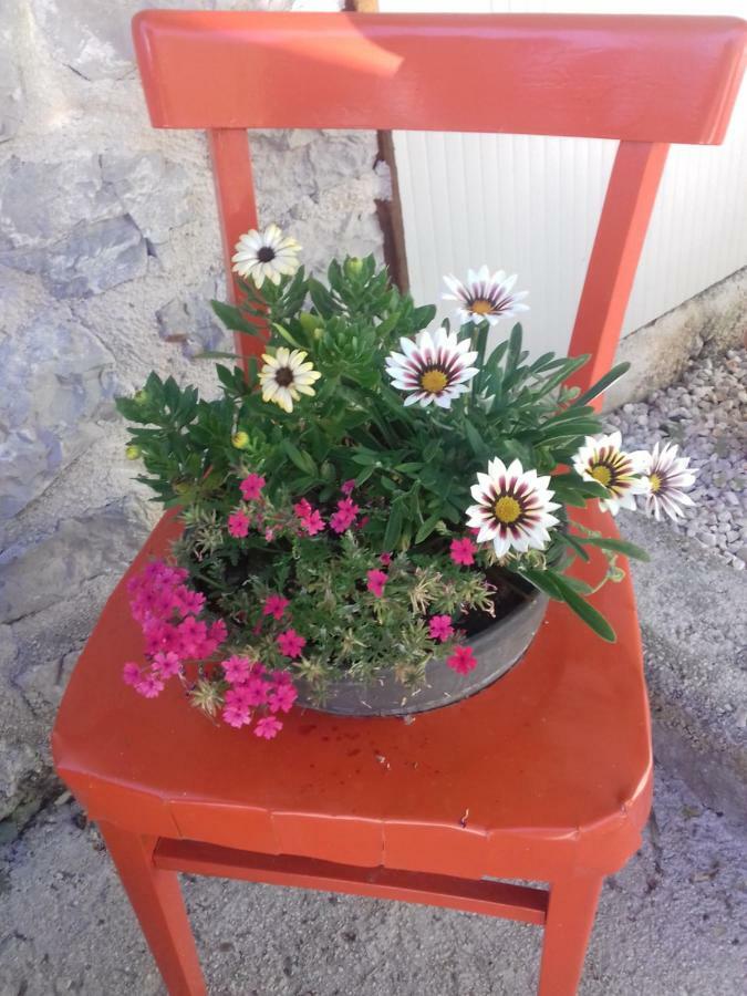 Apartment Rojal Mali Lošinj Eksteriør bilde